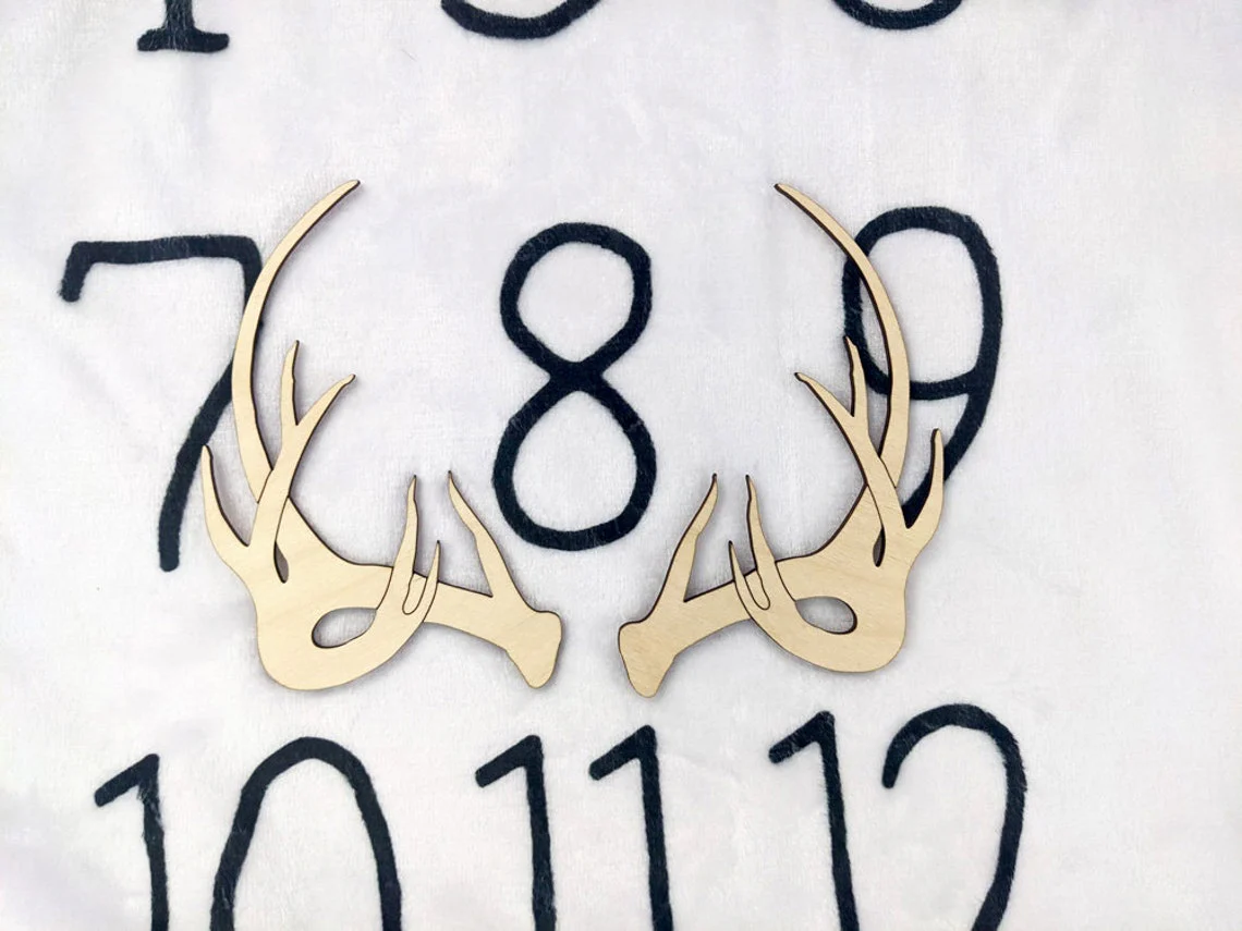 Boho Antlers Painted Milestone Blanket Marker - Image 3